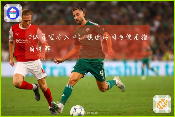 b体育官方入口：快速访问与使用指南详解