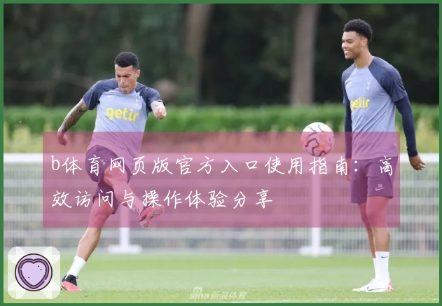 b体育网页版官方入口使用指南：高效访问与操作体验分享