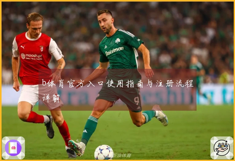 b体育官方入口使用指南与注册流程详解