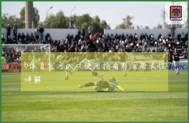 b体育官方入口使用指南与注册流程详解