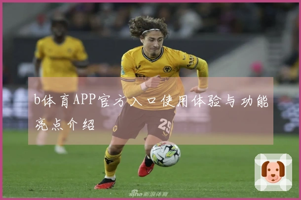 b体育APP官方入口使用体验与功能亮点介绍