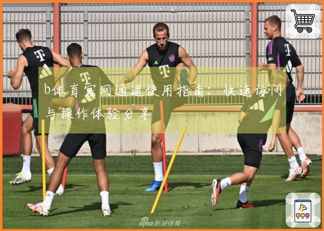 b体育官网通道使用指南:快速访问与操作体验分享