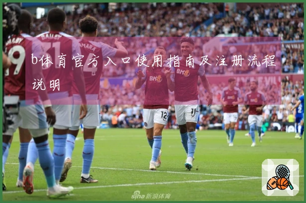 b体育官方入口使用指南及注册流程说明